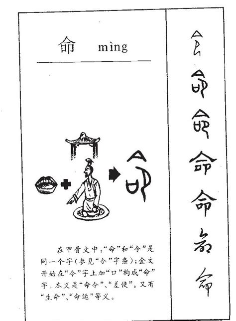 命說文解字|命的说文解字解释